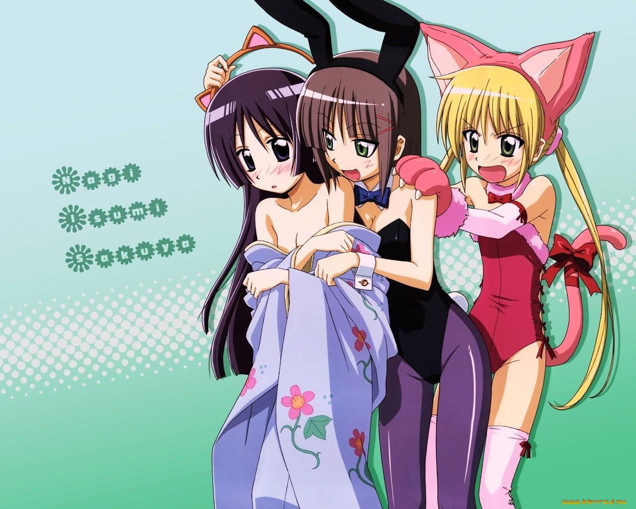 hayate, the, combat, butler, , no, gotoku